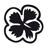 Blüte 1