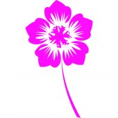 Blume 1