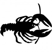 Krebs 2