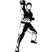 Kung Fu Kämpfer