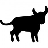 Stier 2