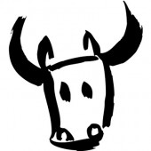 Stier